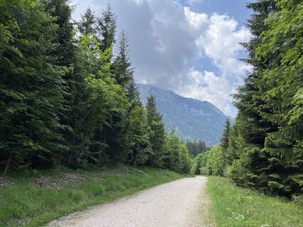 Foto von Heinz Sperl entlang der Tour