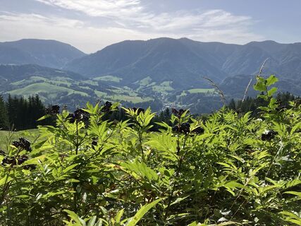 Foto von Anton Grill entlang der Tour