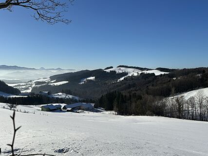 Foto von Gerald Koglbauer entlang der Tour