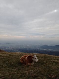 Zdjęcie z Aner wzdłuż trasy