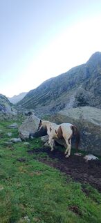 Foto de Daniele Spezia a lo largo del recorrido