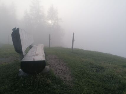 Fotografia z luyyy na trase