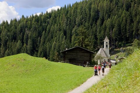 Moena - Malga Peniola ©Archivio APT Val di Fassa