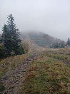 Fotografia z Daniel Kremiec na trase