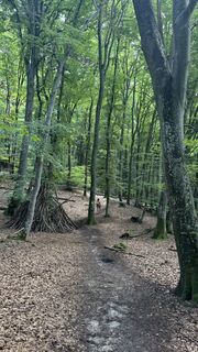 Foto von Justin Rider entlang der Tour