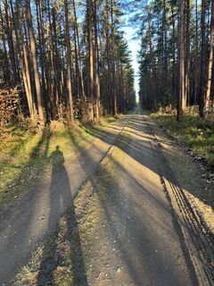 Photo de Kai Erdmann le long du parcours