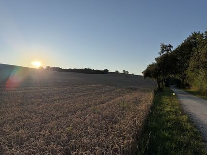 Foto von Schaali entlang der Tour