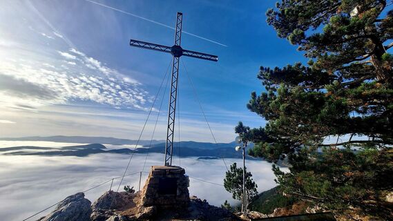 Zdjęcie z Regina Fleischmann wzdłuż trasy