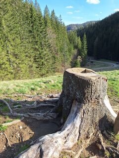 Fotó a Aga M honlapról a túra során