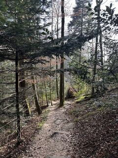 Photo de Nadia Helfenstein le long du parcours