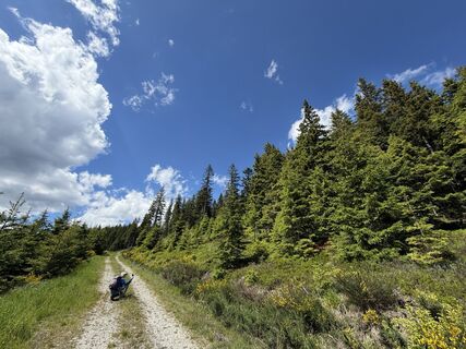 Fotografija s spletne strani Tamás Ónodi na poti