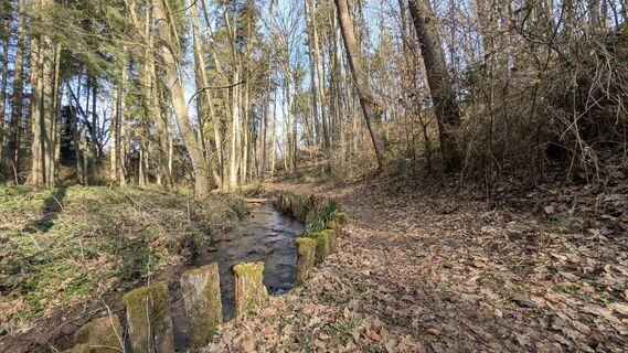 Fotografia z Peter Kreutzer na trase