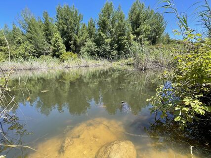 Zdjęcie z JB wzdłuż trasy
