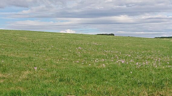 Фото с сайта Filos во время экскурсии