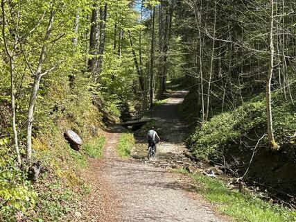 Foto von Similaun entlang der Tour