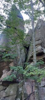 Foto von Teleki Ferenc entlang der Tour