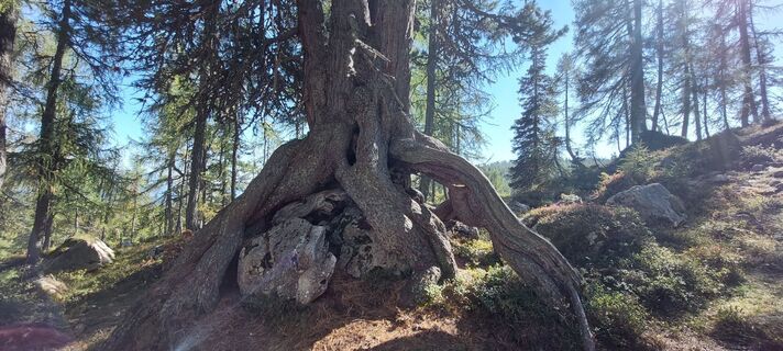 Fotografie z Beißmann Günter na trase