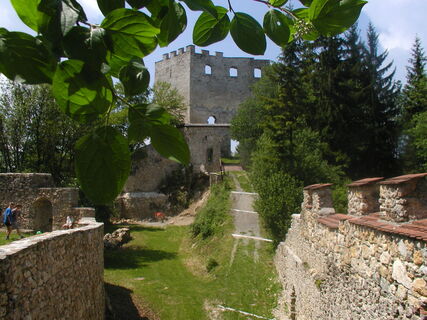 Die Burgruine Hohenwang am Weg
