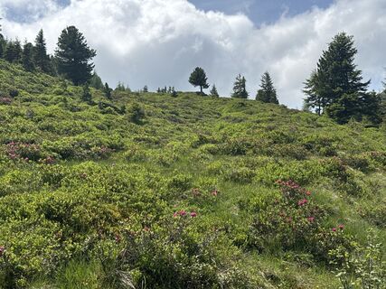 Foto da Matthias Opbacher lungo il tour
