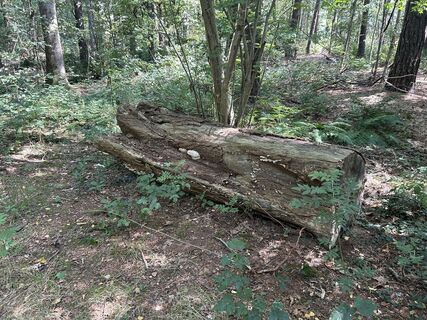 Kuva osoitteesta Wenko matkan varrella