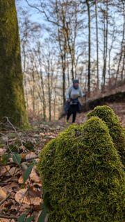 Fotografija s spletne strani Klaus Lehner na poti
