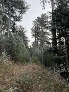 Foto von Jörgen Vöhringer entlang der Tour