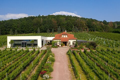 Weingut Matyas
