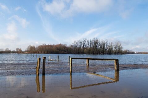 Rheinaue Walsum mit Blick in Richtung Rhein