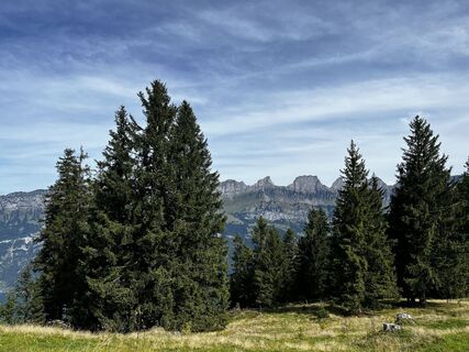 Fotografia z Zellwegerroger na trase