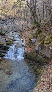 Photo de harry60 le long du parcours