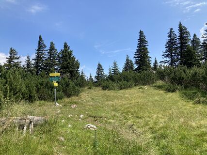 Photo de Wolfi12021950 le long du parcours