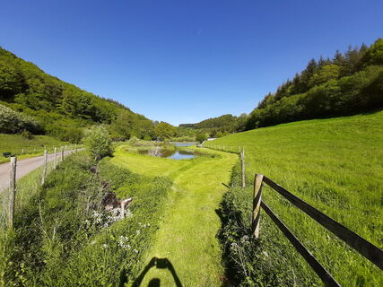 Fischweiher bei Deudesfeld