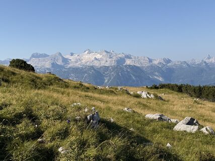 Fotografija s spletne strani Natur_erleben_dg na poti