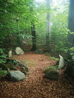 Fotografia z Ric Hard na trase