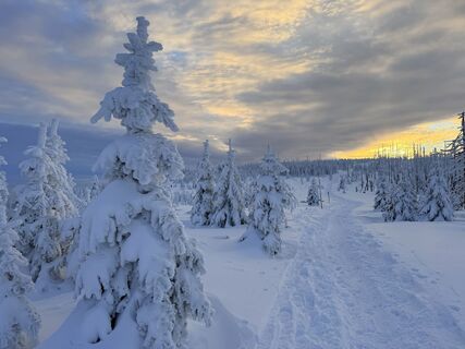 Foto von Natur_erleben_dg entlang der Tour
