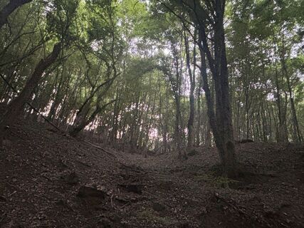 Fotografia z Reti Alicia na trase