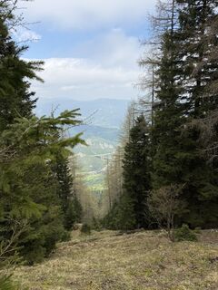 Photo de Luca Pirker le long du parcours