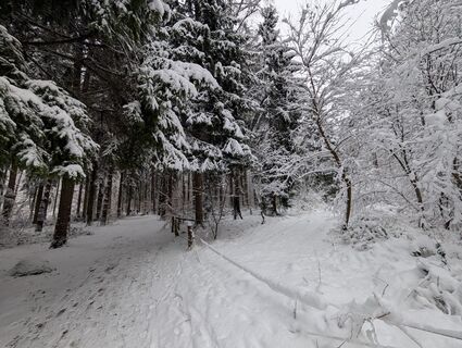 Fotografia z Meik_93 na trase