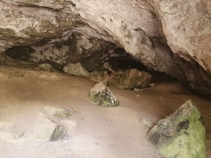Photo de Brigitte Rottmann le long du parcours