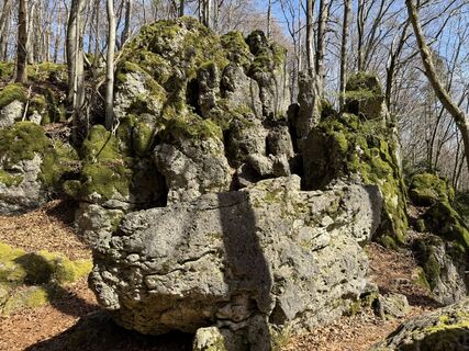 Foto de Norbert Herbig a lo largo del recorrido