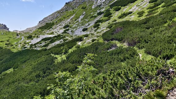 Fotó a AnnJu honlapról a túra során
