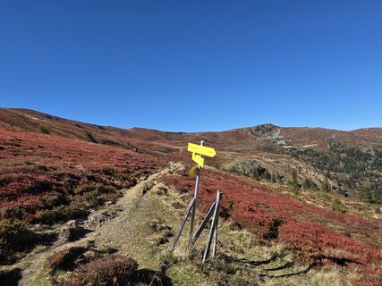 Photo de brimo le long du parcours