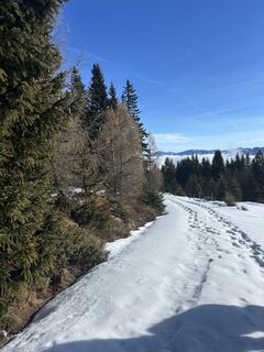 Zdjęcie z Carola Krems wzdłuż trasy