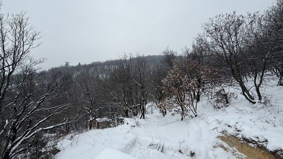 Foto de Balázs Lengyel 1 a lo largo del recorrido