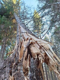 Фото с сайта Aga M во время экскурсии