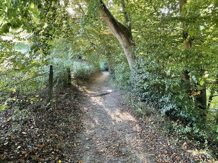 Foto von Thorsten Schulze entlang der Tour