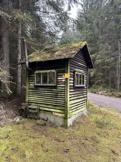Fotografia z Babs Holz na trase
