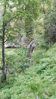 Kleiner Wasserfall unter der Herrenalm