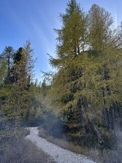Foto von Agnese Martinelli entlang der Tour