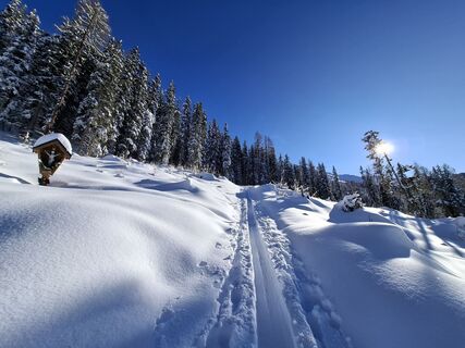 Photo from Magnus Moser along the tour